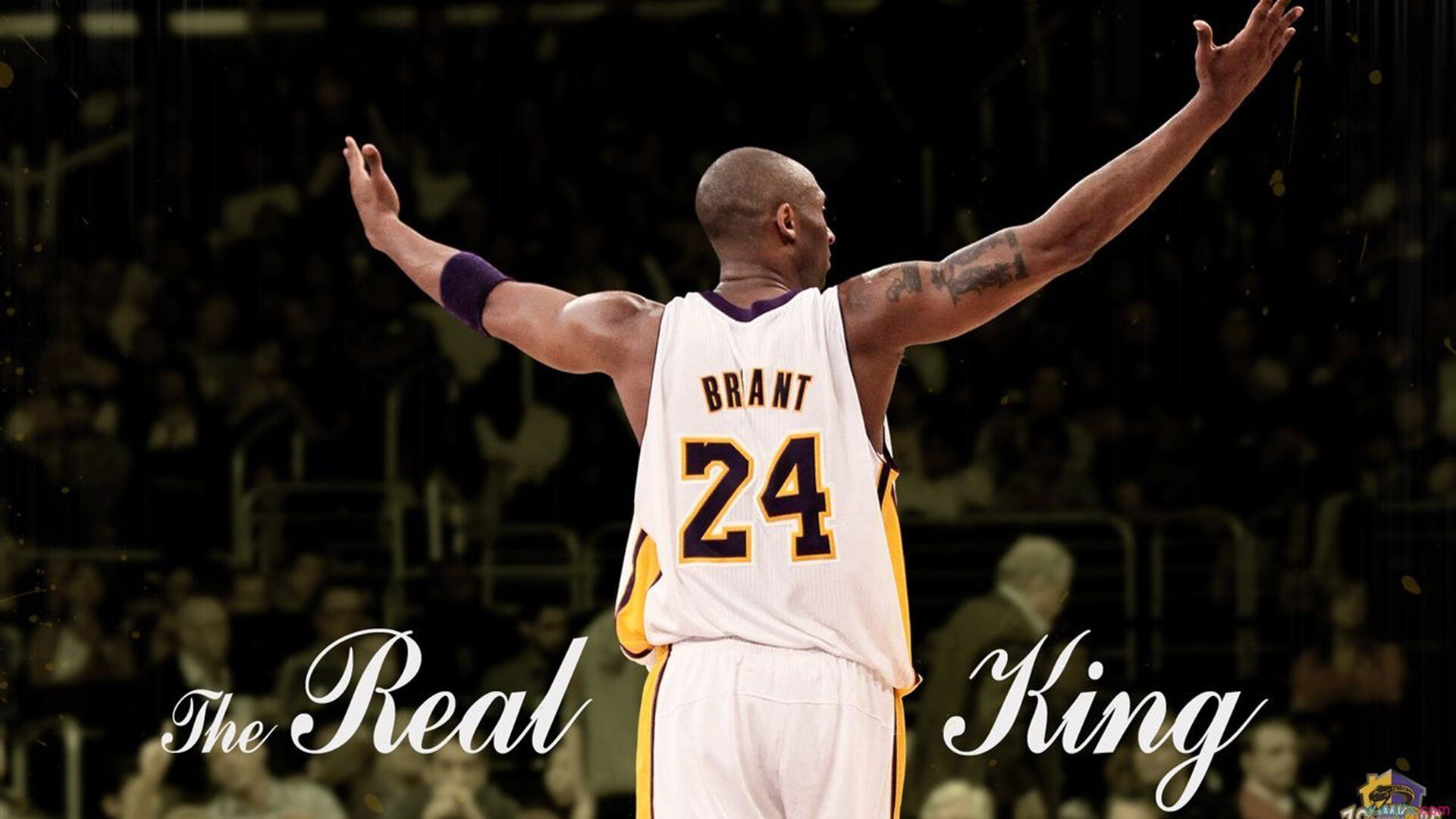 从头开始！惠若琪用冠军精神挑战新领域！，惠若琪夺冠照片