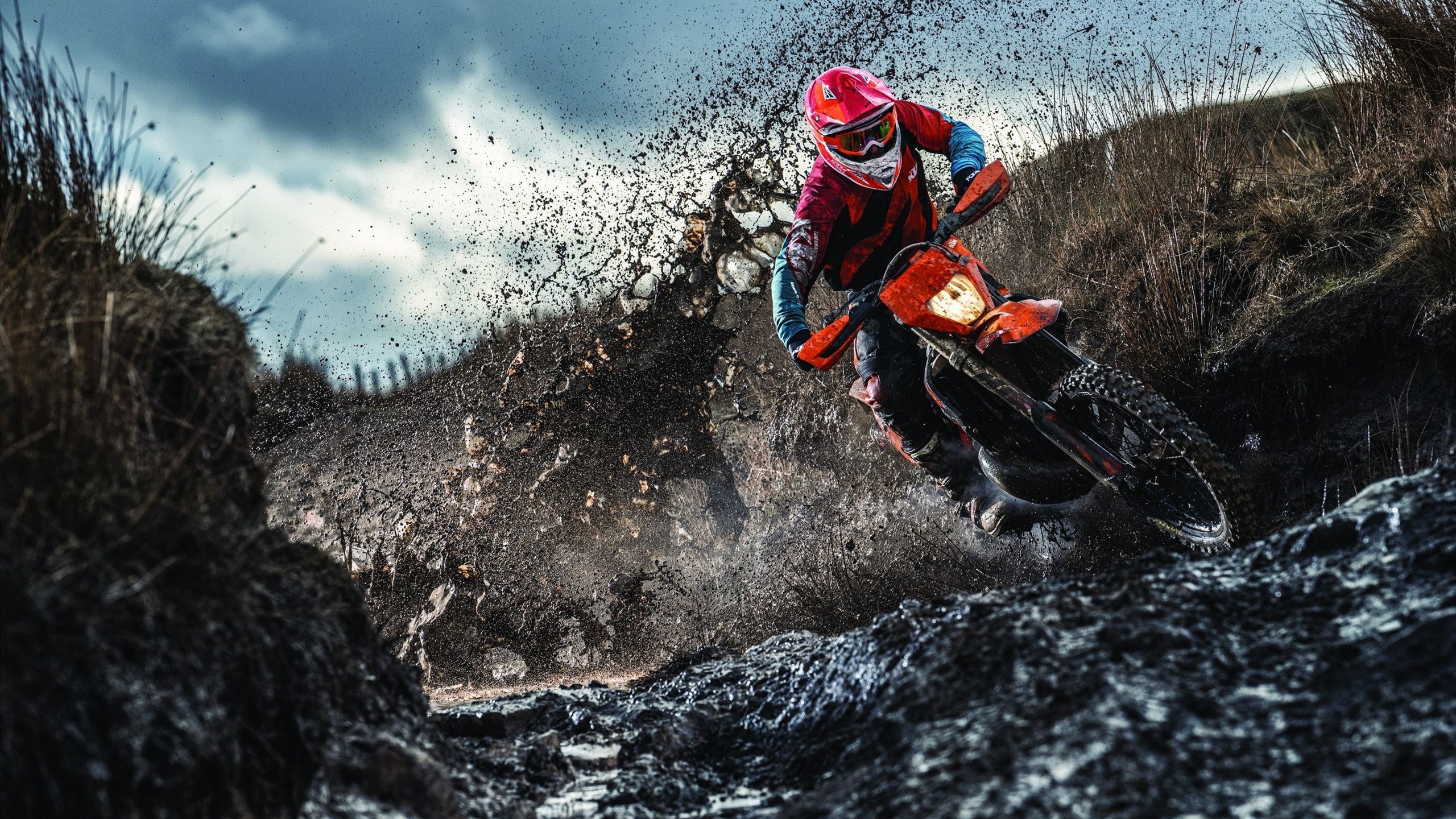 世界杯：环保组织评出“最绿色球场” 榜首体育场使用太阳能供给大部分电力